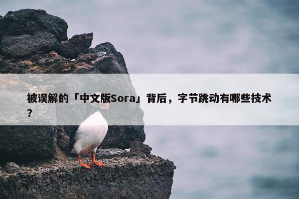 被误解的「中文版Sora」背后，字节跳动有哪些技术？