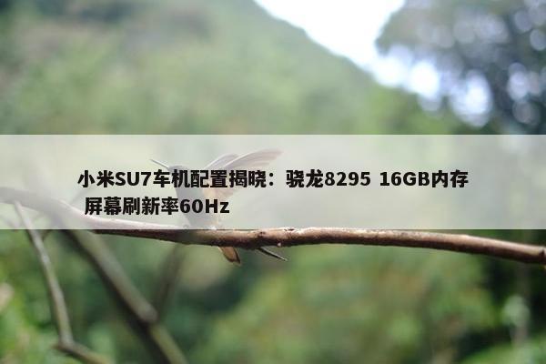 小米SU7车机配置揭晓：骁龙8295 16GB内存 屏幕刷新率60Hz